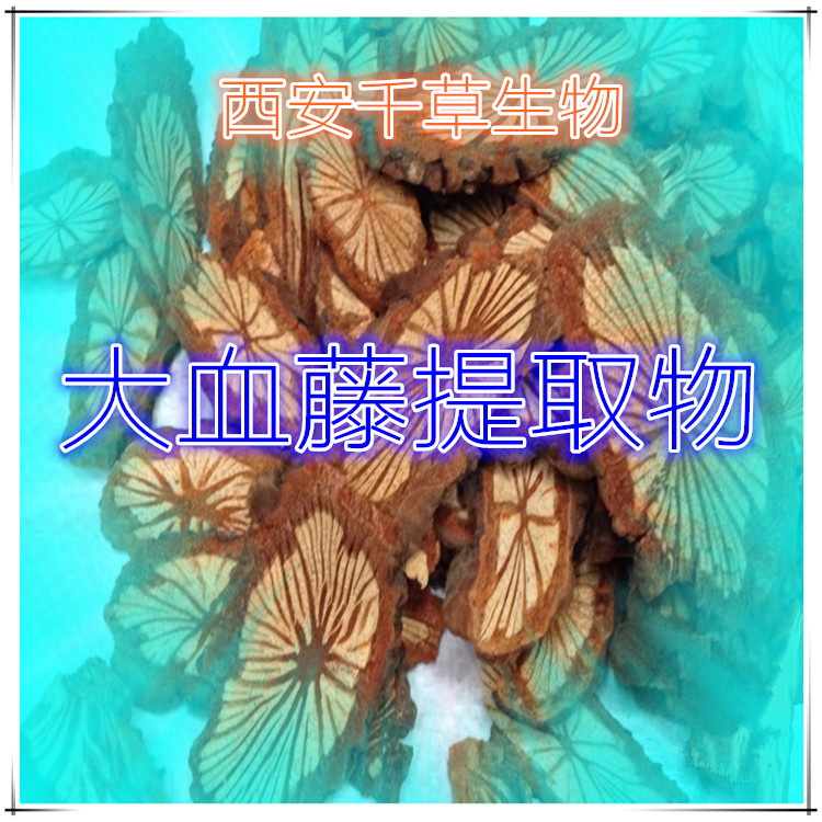 大血藤提取物 (2)