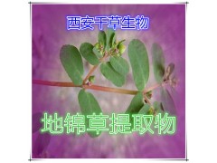 地锦草提取物地锦草粉