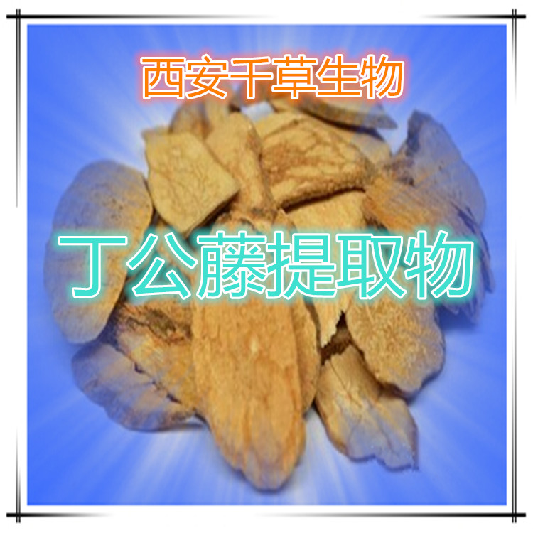 丁公藤提取物