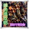 蜂房提取物蜂房粉