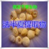 法半夏提取物法半夏粉