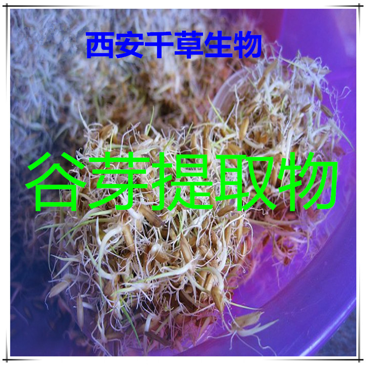 谷芽提取物