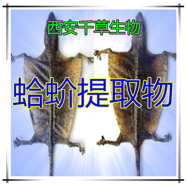 蛤蚧提取物