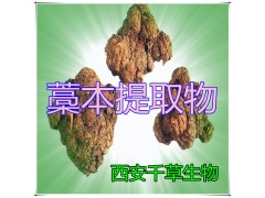 藁本提取物藁本粉