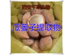 瓜蒌子提取物瓜蒌子粉