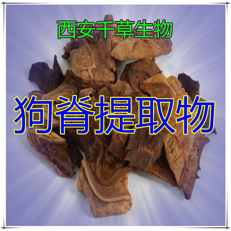 狗脊提取物