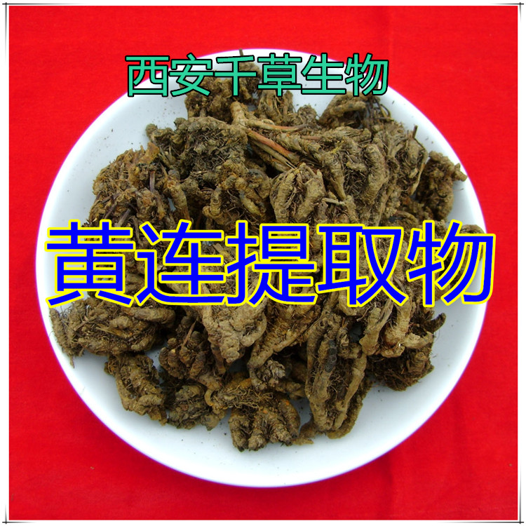 黄连提取物