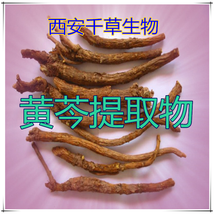黄芩提取物