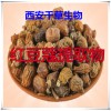 红豆蔻提取物红豆蔻粉
