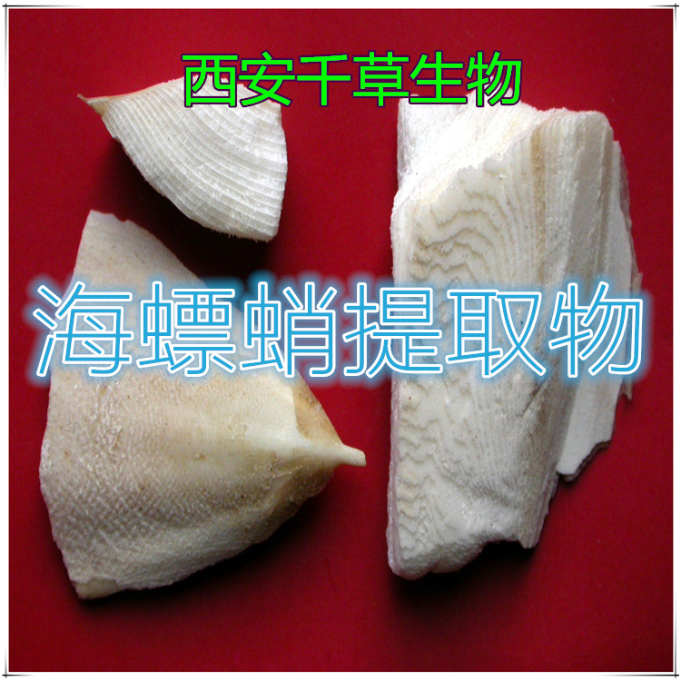 海螵蛸提取物海螵蛸粉