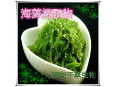 海藻提取物海藻粉