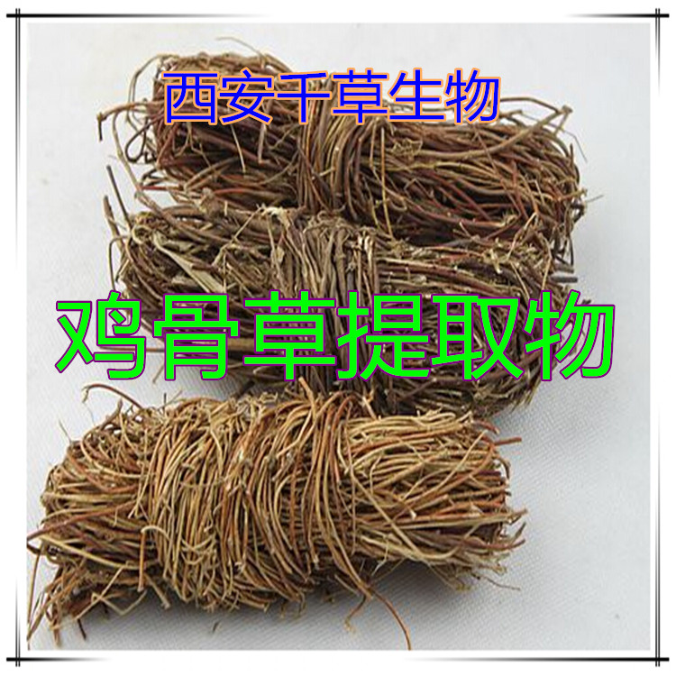 鸡骨草提取物