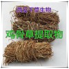 鸡骨草提取物鸡骨草粉