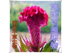 鸡冠花提取物鸡冠花浓缩粉