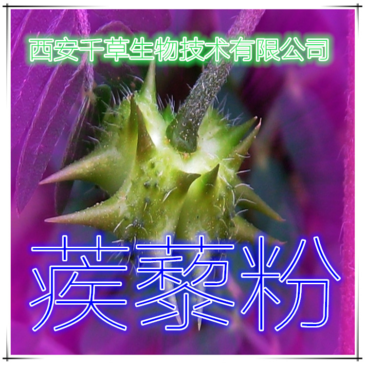 蒺藜粉