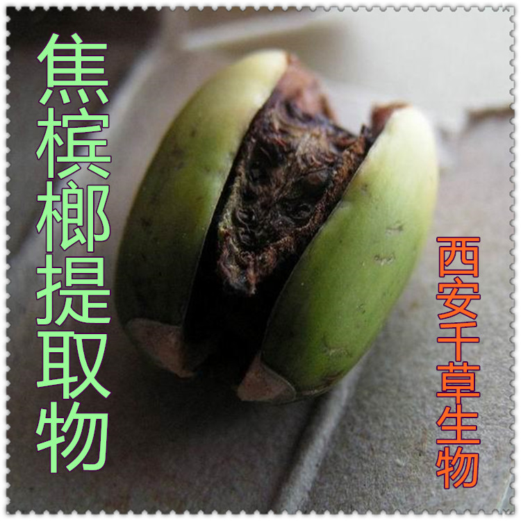 焦槟榔提取物