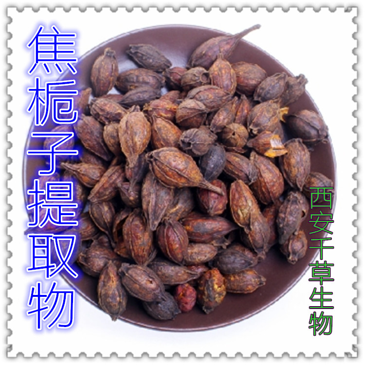 焦栀子提取物