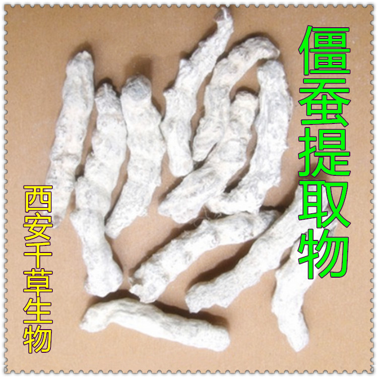 僵蚕提取物僵蚕粉