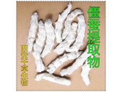 僵蚕提取物僵蚕粉