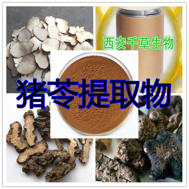 猪苓提取物