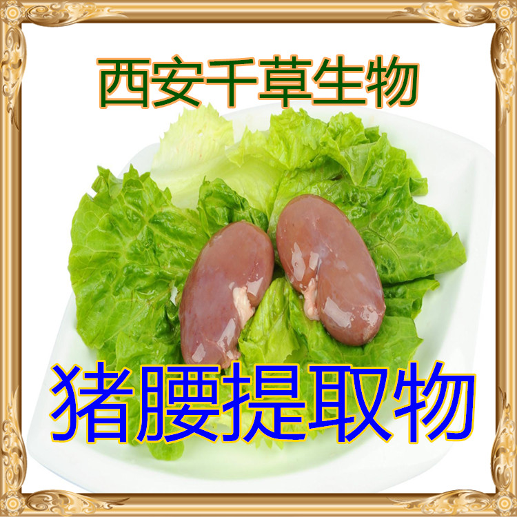 猪腰提取物