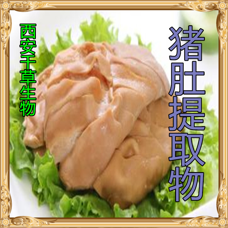 猪肚提取物猪肚粉