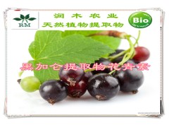植物提取物花青素系列-黑加仑提取物PAC 10%