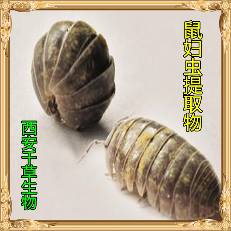 鼠妇提取物