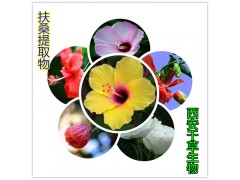 扶桑提取物