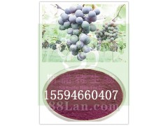 葡萄粉果粉厂家直供