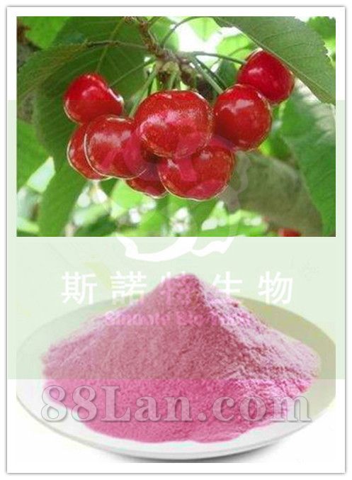 樱桃果粉厂家直供