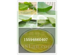 芦荟提取物芦荟甙