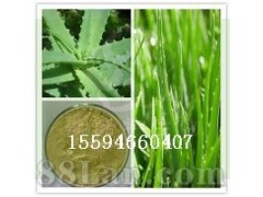 芦荟粉厂家直供