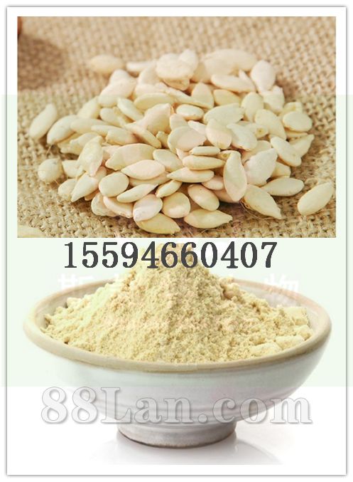 冬瓜仁粉 厂家供应