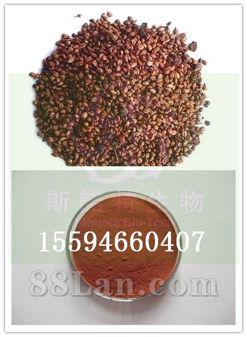 葡萄籽提取物 厂家供应