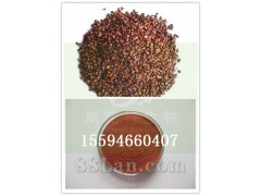 葡萄籽提取物 厂家供应