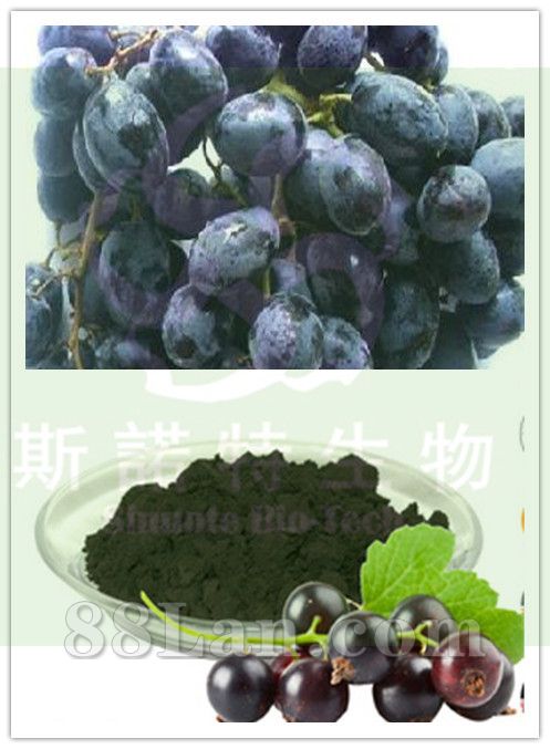 黑加仑果粉厂家供应