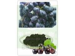 黑加仑果粉厂家供应