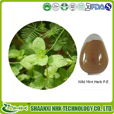 Natural Peppermint Extract