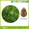 Natural Horsetail P.E. Silica
