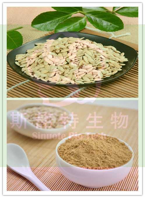 黄瓜籽厂家直供斯诺特生物