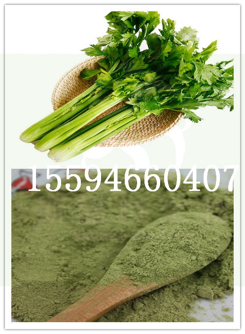 芹菜粉蔬菜粉厂家直供斯诺特生物