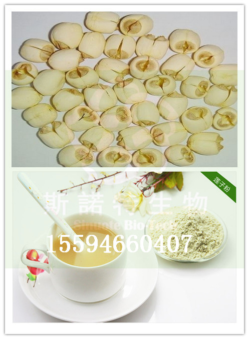 莲子粉厂家直供斯诺特生物