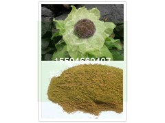 雪莲粉厂家直供斯诺特生物