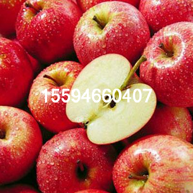 QQ图片20161212140955_2