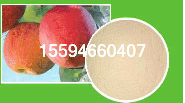 5a1213692780n2414469353c21_2