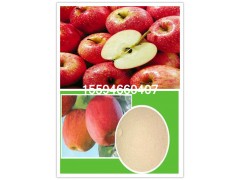 苹果粉果粉斯诺特生物厂家直供