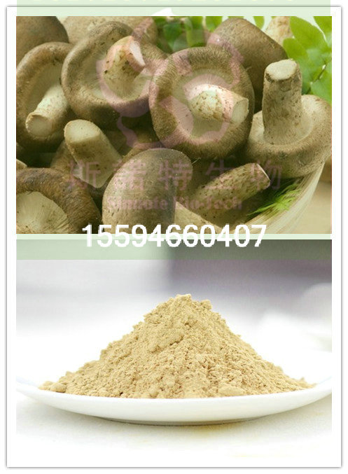 1272967450_1455328890_副本_1_1