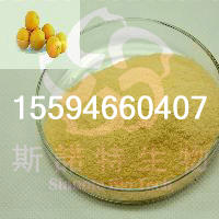香橙粉水果粉厂家直供斯诺特生物