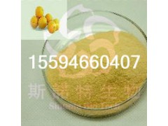 香橙粉水果粉厂家直供斯诺特生物
